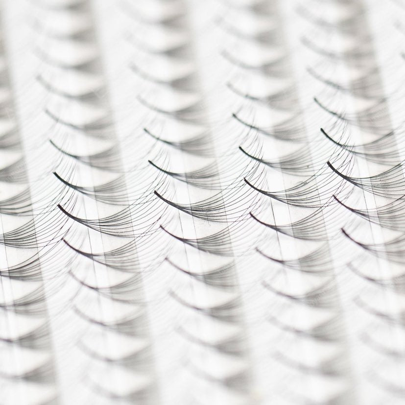 Bouquets Préfait Boitiers XL 4D Courbe C ou D