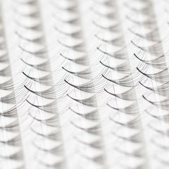 Bouquets Préfait Boitiers XL 12D Courbe C ou D